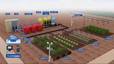 Integrated water and fertilizer application effect diagram Integrated water and fertilizer application effect diagram