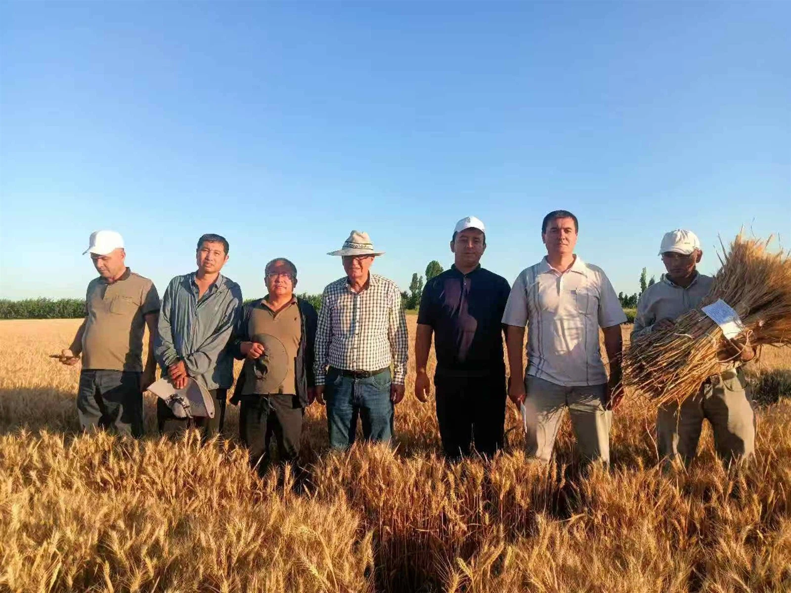 Our Achievements in Fertigation Technology Applications for Cotton and Wheat in Uzbekistan Our Achievements in Fertigation Technology Applications for Cotton and Wheat in Uzbekistan